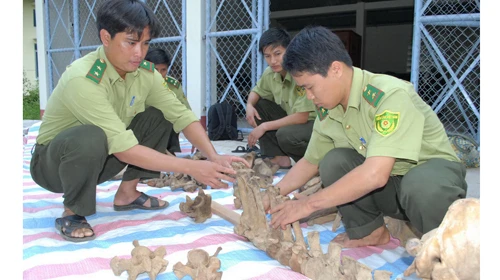 Tê giác chết hay bị giết? ảnh 2