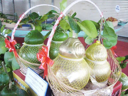 “Ngày tận thế” là lợi thế! ảnh 2