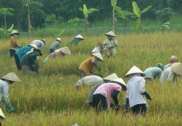 Nên bỏ thời hạn giao đất nông nghiệp ảnh 1 Nên bỏ thời hạn giao đất nông nghiệp ảnh 1