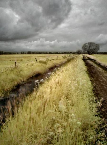 Độ tương phản màu đẹp lạ qua ảnh hồng ngoại ảnh 17