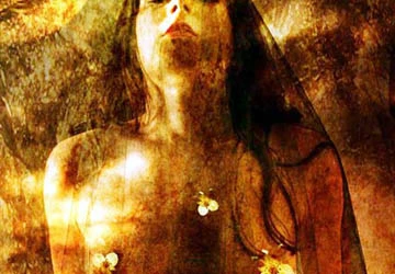 Giải mã bí ẩn của những giấc mơ ảnh 15