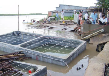 Đêm kinh hoàng trên hàm ếch tử thần ảnh 2