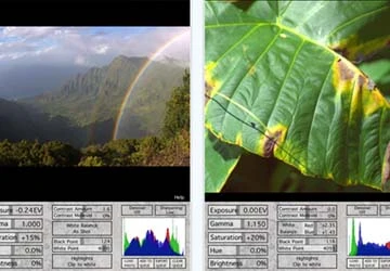 Chỉnh sửa ảnh RAW trên iPad ảnh 1