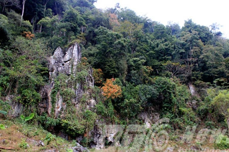 Kỳ 3: Trăn khổng lồ cứu dân bản khỏi bầy thú dữ ảnh 2