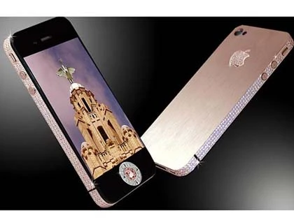 iPad đính... xương khủng long ảnh 2