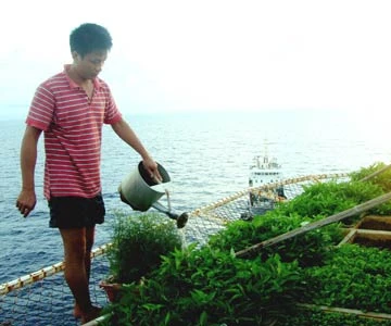 Những mảnh vườn treo giữa trùng khơi ảnh 6