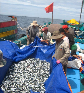 “Chợ phiên” đặc biệt ở biển Đông ảnh 1