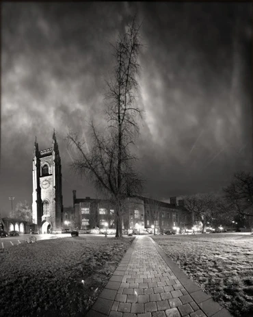 Những bức ảnh chụp góc thấp ấn tượng ảnh 5