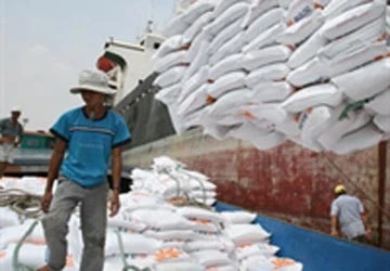 Việt Nam trúng thầu 90.000 tấn gạo cho Iraq ảnh 1 Việt Nam trúng thầu 90.000 tấn gạo cho Iraq ảnh 1