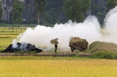 Nhớ quê trong khói đốt đồng ảnh 1