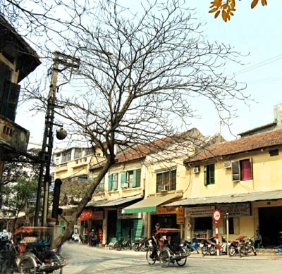 Phố cổ Hà Nội: Ứng xử thế nào cho phải?- Bài 2: Di tích bị sức ép đô thị ảnh 1