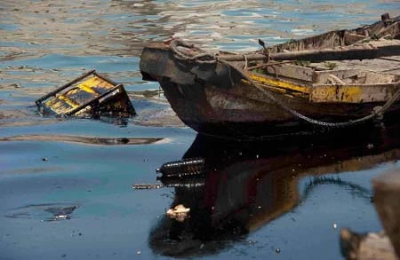 Thảm họa tràn dầu ở Trung Quốc ảnh 13