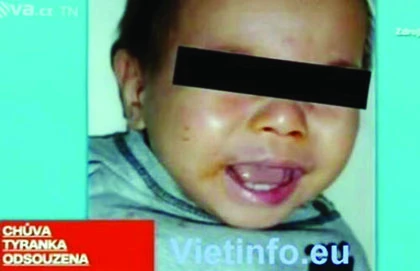 Bảo mẫu nhốt trẻ trong nhà hầm rồi đánh đập ảnh 1