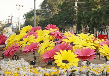 Chụp ảnh tết ở đường hoa Nguyễn Huệ ảnh 5