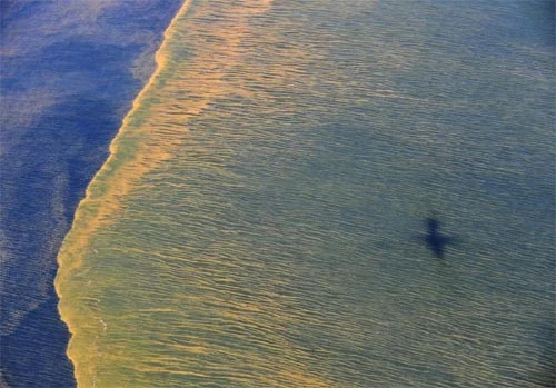 Những bức ảnh thảm họa ấn tượng nhất 2010 ảnh 5