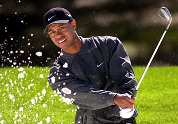 Tiger Woods cứu trợ 3 triệu USD ảnh 1