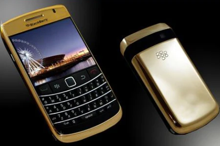 iPad 2 có vỏ xương khủng long bạo chúa giá 160 tỷ đồng ảnh 5