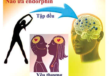 Thuốc phiện trời cho ảnh 1