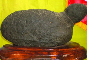 "Vua kỳ nam” xứ Nẫu ảnh 2 "Vua kỳ nam” xứ Nẫu ảnh 2