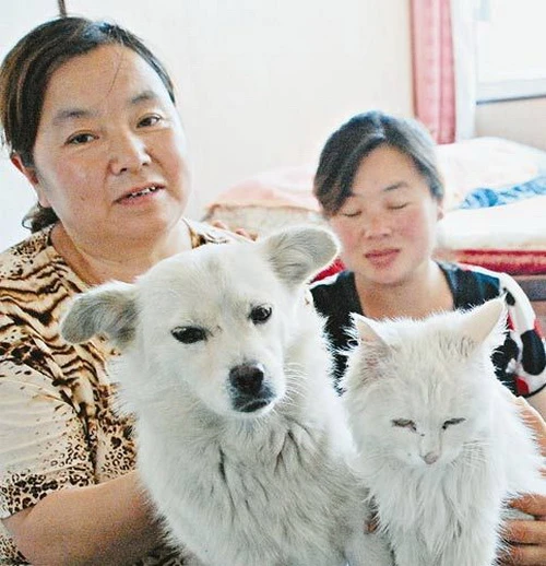 Mèo đẻ ra chó ảnh 1