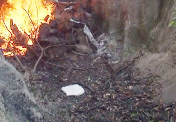 “Cướp” lại 2,2 tấn thịt bò thối bị tiêu hủy ảnh 4 “Cướp” lại 2,2 tấn thịt bò thối bị tiêu hủy ảnh 4