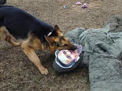 Triều Tiên thả chó vồ "bộ trưởng quốc phòng Hàn Quốc" ảnh 2