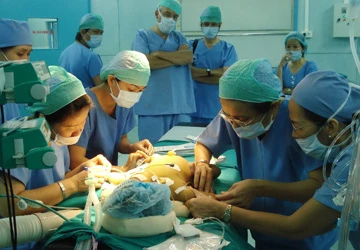 Ghép tạng từ người chết não: Cần nhiều, cho hiếm ảnh 1