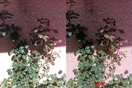 Xem ảnh HDR trong iOS 4.1 của iPhone ảnh 1