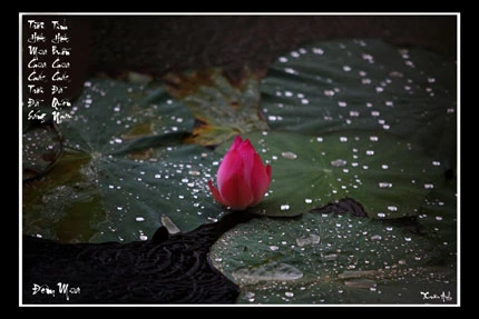 Giã từ dĩ vãng Thành “trọc” ảnh 5