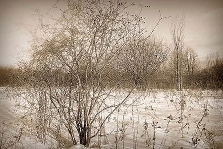 Chụp ảnh thừa sáng ảnh 2