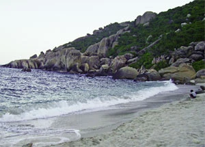 Biển có nhiều san hô và sinh vật biển đa dạng.