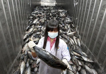 Tìm thấy phóng xạ ở nhiều nước ảnh 1