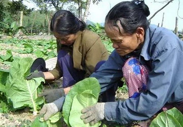 Làng hoàn lương của các nữ giang hồ ảnh 2