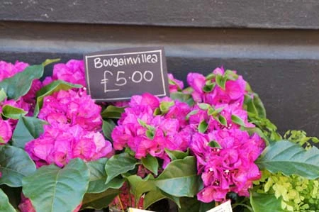 Ảnh chụp thử bằng Sony NEX 5 ảnh 4 Ảnh chụp thử bằng Sony NEX 5 ảnh 4