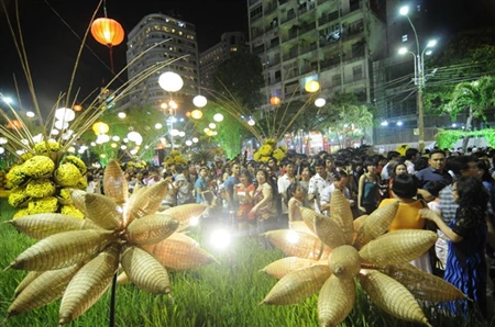 Khai mạc Đường hoa Nguyễn Huệ Tết Quý Tỵ 2013 ảnh 7