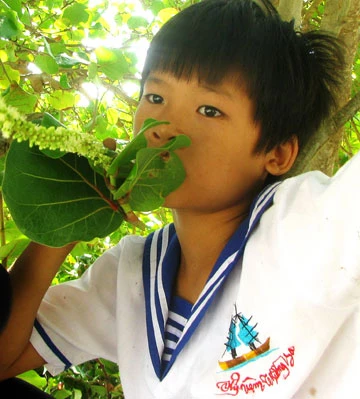 Tạm biệt đảo, mai Hiền vào lớp 6 ảnh 3