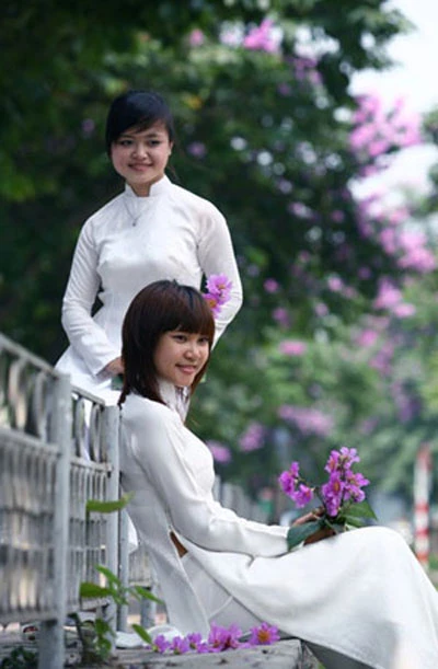 Bằng lăng tím vẫy gọi hè ảnh 11