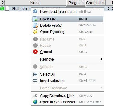 “Tự động hóa” download từ các dịch vụ chia sẻ file trực tuyến ảnh 4