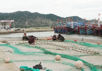 “Neo” phí cảng cá, doanh nghiệp kêu trời ảnh 1