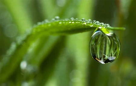 Ấn tượng về sự tinh khiết qua bộ ảnh chụp sương sớm ảnh 12