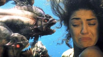 Cá ăn thịt biết... nói ảnh 1