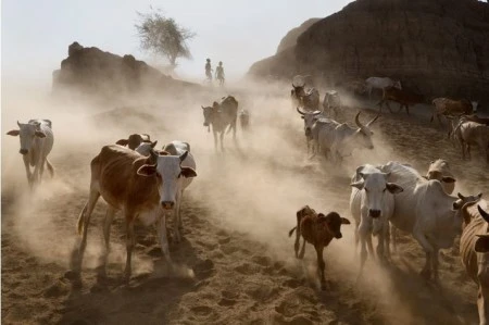 Bộ lạc nguyên thủy cuối cùng ở châu Phi ảnh 5 Bộ lạc nguyên thủy cuối cùng ở châu Phi ảnh 5
