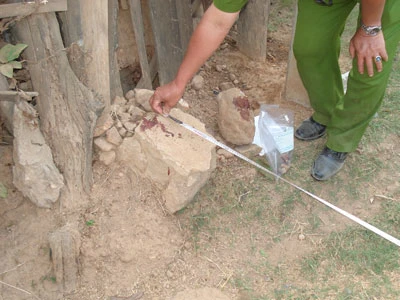 Từ trộm gà dẫn đến giết người ảnh 2