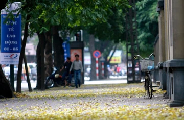 Hà Nội mùa lá bay ảnh 2