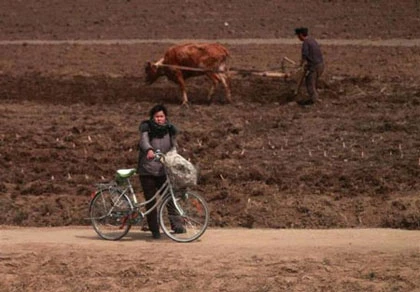 Hàn Quốc đòi Triều Tiên trả nợ 720 triệu USD ảnh 1