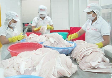 Thuế cá tra: Lẽ ra DN Mỹ phải chịu ảnh 1