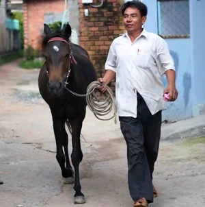 Ký ức Trường đua Phú Thọ - Bài 2: Nỗi buồn kỵ mã ảnh 2