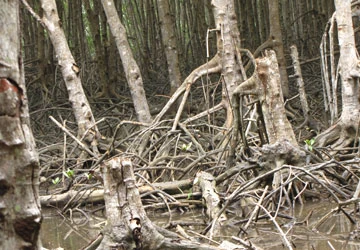 “Tôi không sợ vì đang ở trên biển của mình!” ảnh 1