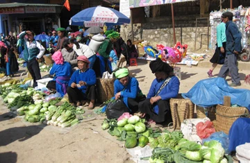 Xuân về trên cao nguyên đá ảnh 2