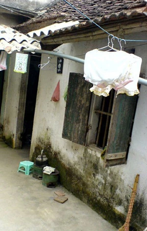 Đường dây đẻ thuê và những chuyện khó tin ảnh 3